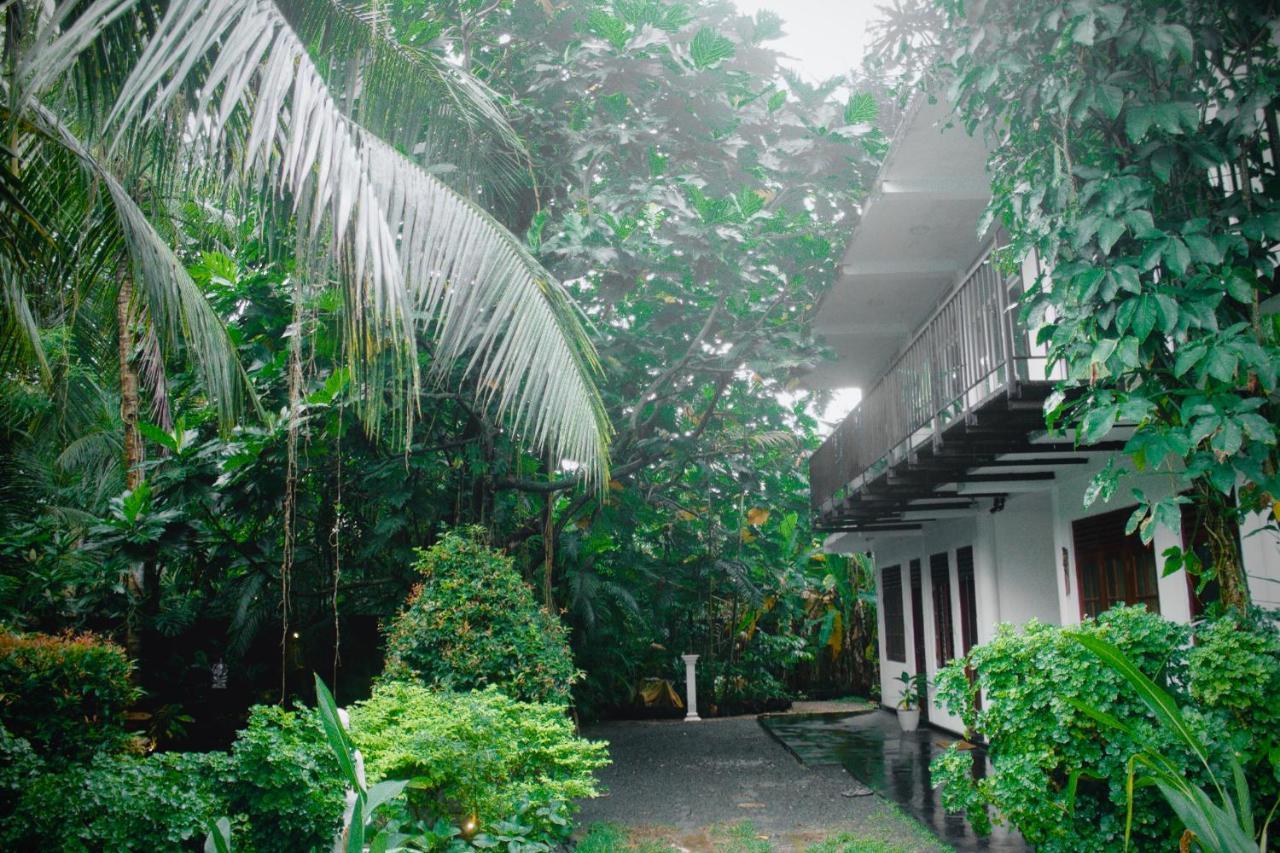 Bananas Mirissa Hotel Ngoại thất bức ảnh